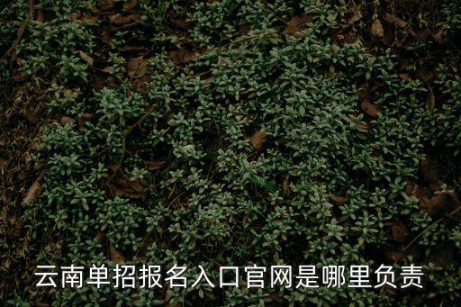 單招官網(wǎng)，單招成績查詢?nèi)肟诠倬W(wǎng)