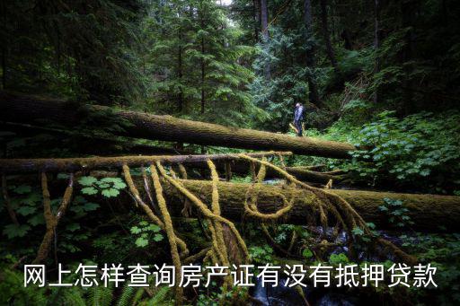 網上怎樣查詢房產證有沒有抵押貸款