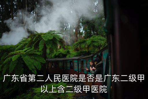 廣東省第二人民醫院是否是廣東二級甲以上含二級甲醫院