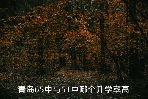 青島65中，青島65中與51中哪個升學率高