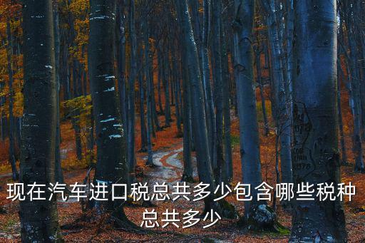 現在汽車進口稅總共多少包含哪些稅種總共多少