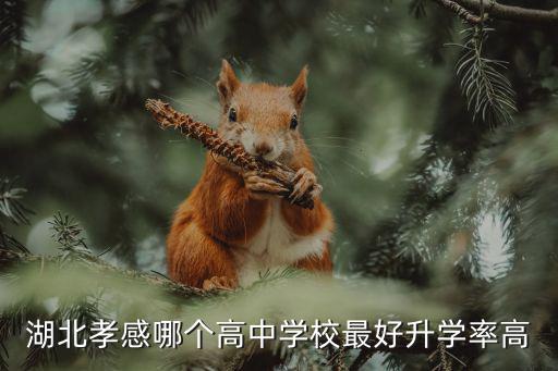 湖北孝感哪個高中學校最好升學率高
