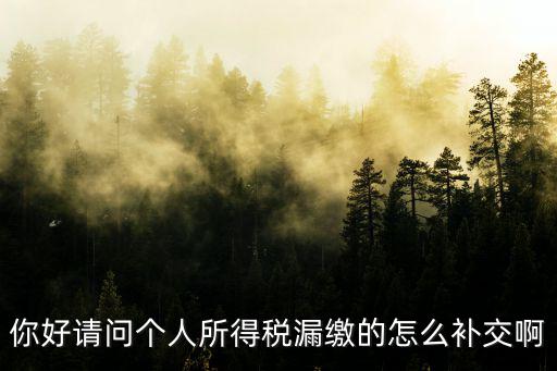 你好請問個人所得稅漏繳的怎么補交啊