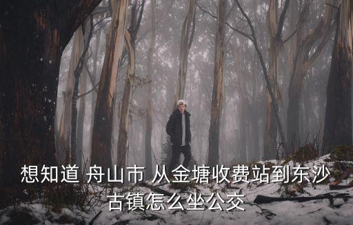 東沙古鎮，想知道 舟山市 從金塘收費站到東沙古鎮怎么坐公交