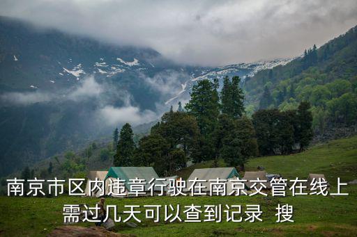 南京交管在線官網，南京發動機號尾數是字母的怎么查詢違章記錄