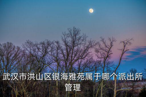 武漢市洪山區(qū)銀海雅苑屬于哪個(gè)派出所管理