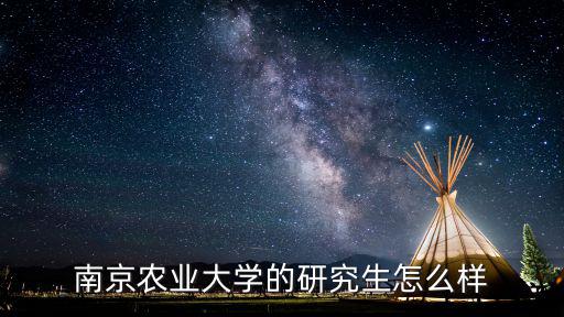 南京農業大學研究生，南京農業大學專業學位研究生