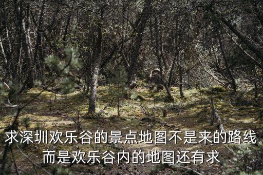 求深圳歡樂谷的景點地圖不是來的路線而是歡樂谷內的地圖還有求
