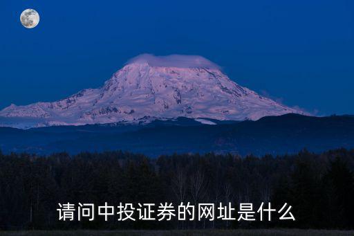 請問中投證券的網址是什么