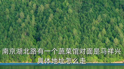 南京湖北路有一個(gè)蔬菜館對面是馬祥興具體地址怎么走