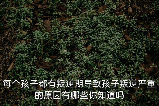 每個(gè)孩子都有叛逆期導(dǎo)致孩子叛逆嚴(yán)重的原因有哪些你知道嗎