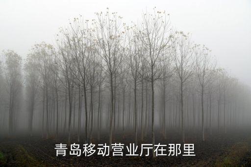 青島移動營業廳在那里