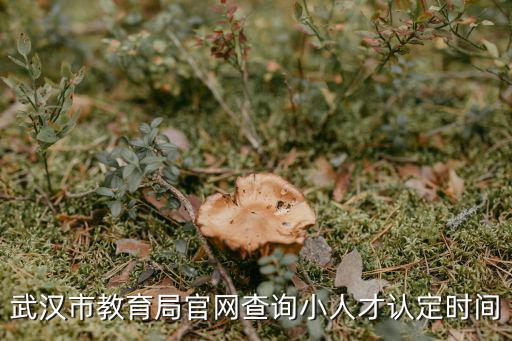 武漢市教育局官網查詢小人才認定時間
