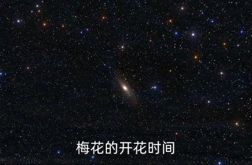 梅花的開花時間
