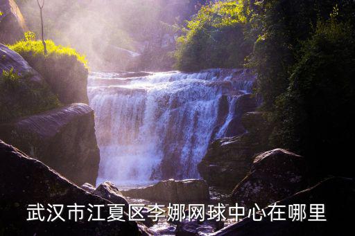 武漢市江夏區李娜網球中心在哪里