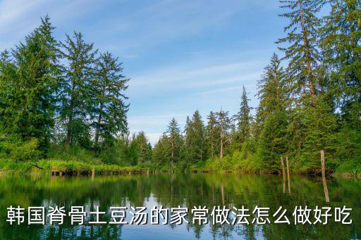 韓國(guó)脊骨土豆湯的家常做法怎么做好吃