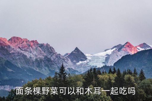 面條棵野菜可以和木耳一起吃嗎