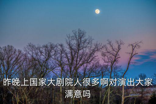 昨晚上國家大劇院人很多啊對演出大家滿意嗎