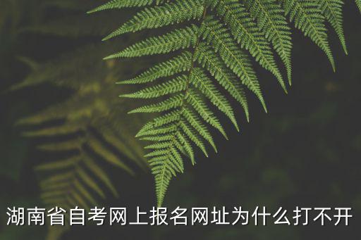 湖南省自考網上報名網址為什么打不開