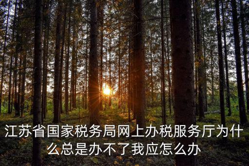 江蘇省國家稅務局網上辦稅服務廳為什么總是辦不了我應怎么辦
