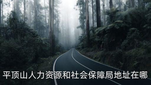 平頂山人力資源和社會(huì)保障局地址在哪