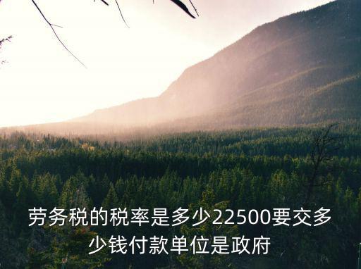 勞務稅的稅率是多少22500要交多少錢付款單位是政府