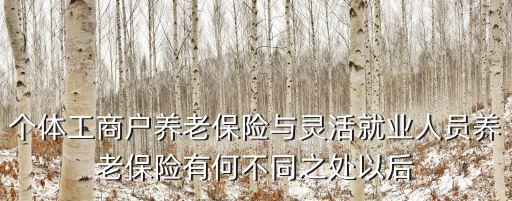 個體工商戶養老保險與靈活就業人員養老保險有何不同之處以后