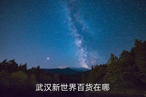 武漢新世界百貨在哪