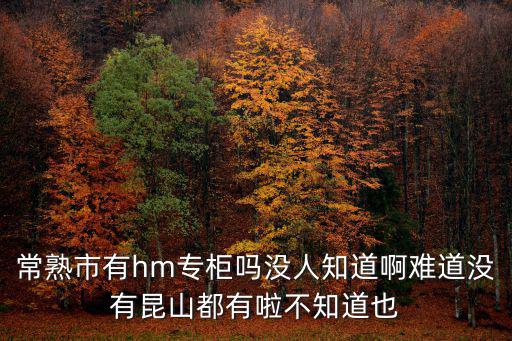常熟市有hm專柜嗎沒人知道啊難道沒有昆山都有啦不知道也