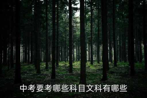 中考要考哪些科目文科有哪些