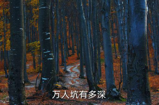 萬人坑有多深