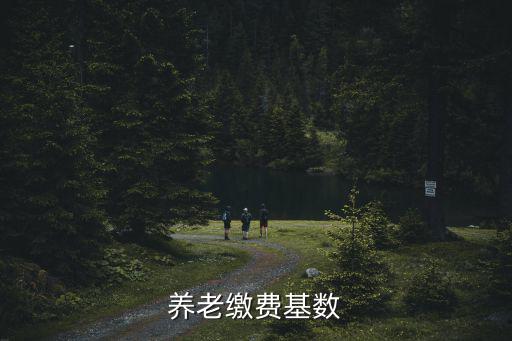 養老繳費基數，養老保險繳費基數