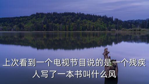 殘疾人高淳，上次看到一個電視節目說的是一個殘疾人寫了一本書叫什么風