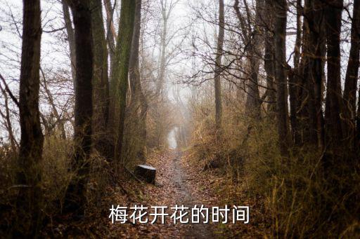 梅花開花的時間