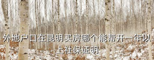 外地戶口在昆明買房哪個(gè)能幫開一年以上社保證明