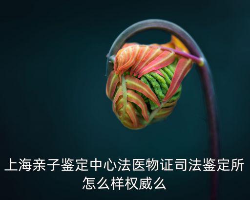上海親子鑒定中心法醫物證司法鑒定所怎么樣權威么