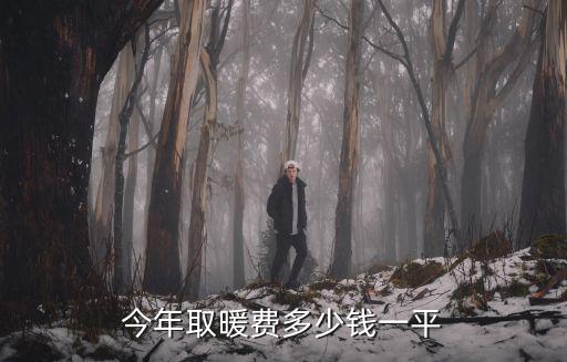 暖氣費(fèi)多少錢一平方，今年取暖費(fèi)多少錢一平
