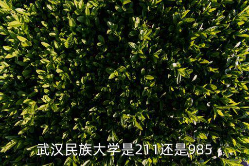 武漢民族大學(xué)，武漢民族學(xué)院是一本嗎