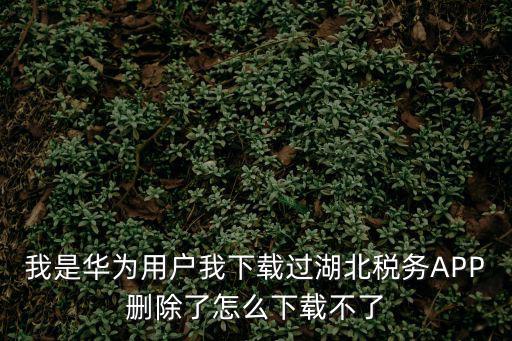 我是華為用戶我下載過湖北稅務(wù)APP刪除了怎么下載不了