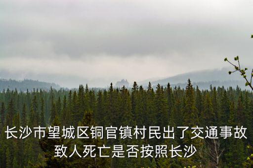 長沙市望城區(qū)銅官鎮(zhèn)村民出了交通事故致人死亡是否按照長沙