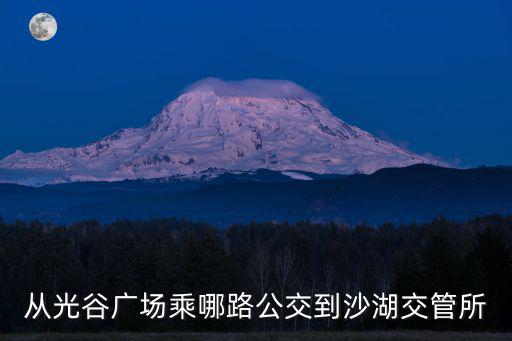 從光谷廣場(chǎng)乘哪路公交到沙湖交管所