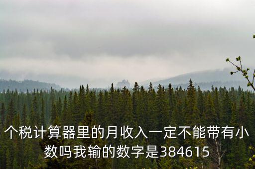 個(gè)稅計(jì)算器里的月收入一定不能帶有小數(shù)嗎我輸?shù)臄?shù)字是384615