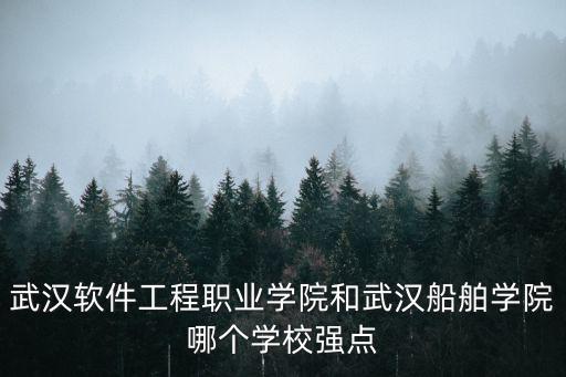 武漢軟件工程職業學院和武漢船舶學院哪個學校強點