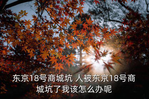 東京十八商城，請問在東京18商城里可以用網銀支付嗎