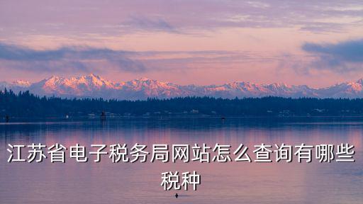 江蘇省電子稅務局網站怎么查詢有哪些稅種