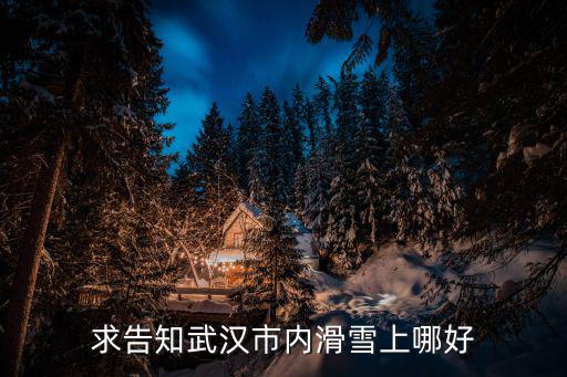求告知武漢市內滑雪上哪好