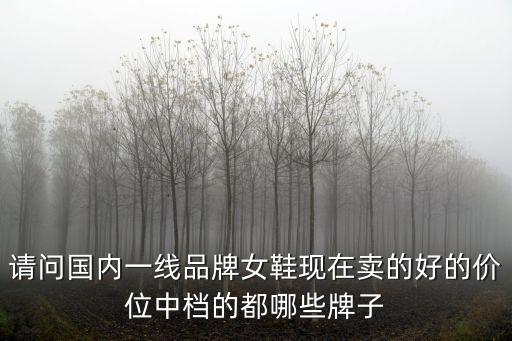 請(qǐng)問(wèn)國(guó)內(nèi)一線(xiàn)品牌女鞋現(xiàn)在賣(mài)的好的價(jià)位中檔的都哪些牌子