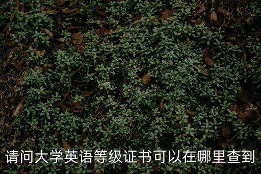 請問大學英語等級證書可以在哪里查到