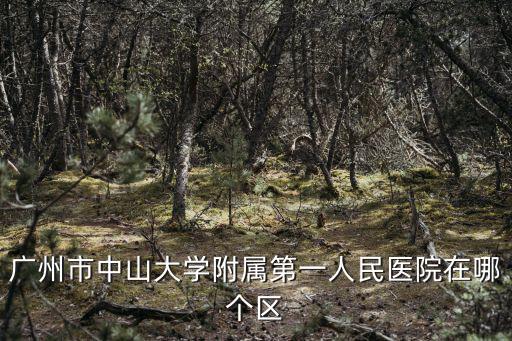 中山大學(xué)附屬第八醫(yī)院，廣州中山大學(xué)附屬第一醫(yī)院是私立的還是公立的