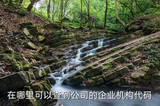 機構代碼查詢，在哪里可以查到公司的企業機構代碼